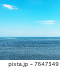 Sunny sea 7647349