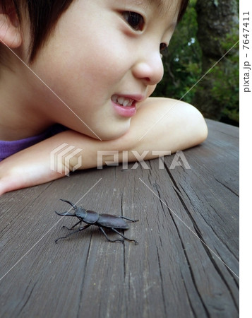 クワガタ虫と子供の横顔 7647411