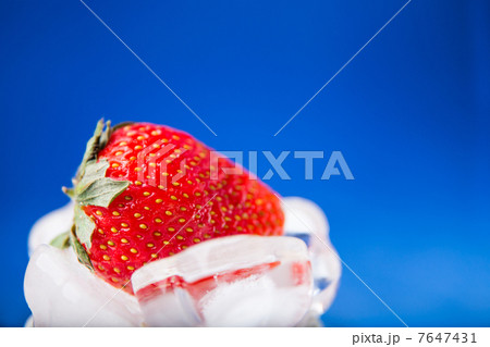 fresh strawberry in white ice on blue background fresh strawberry in white ice on blue background 7647431
