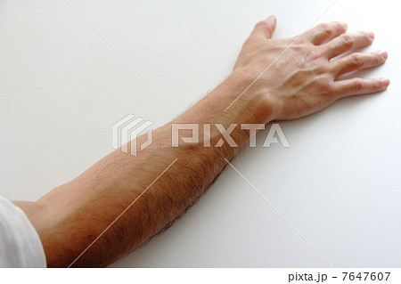 腕の毛 腕の毛 7647607