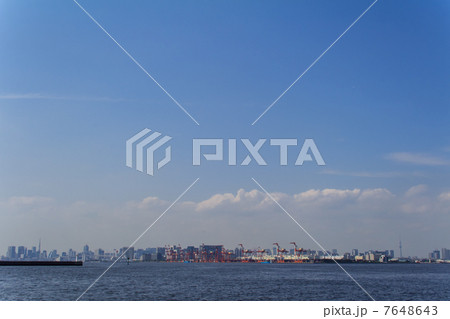 東京港 7648643