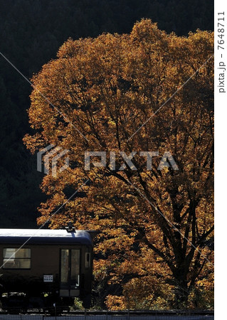 紅葉2 紅葉2 7648711
