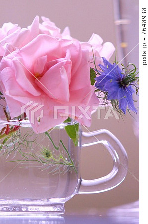 薔薇 薔薇 7648938