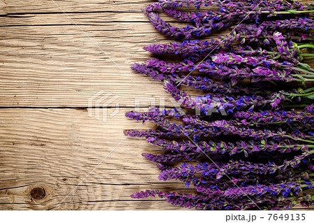 Salvia flowers on wooden background 7649135
