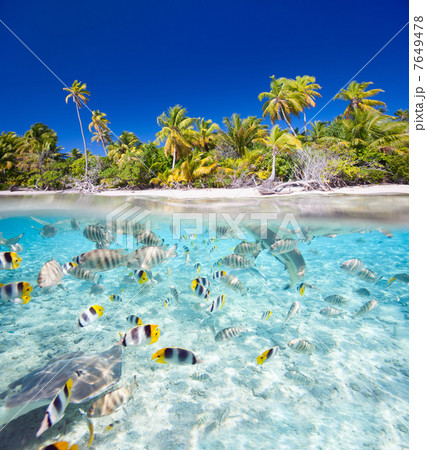 Tropical island Tropical island 7649478