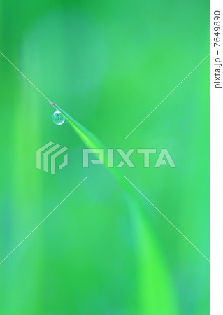 水滴 水滴 7649890