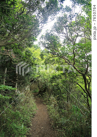 越前岳登山 7650764
