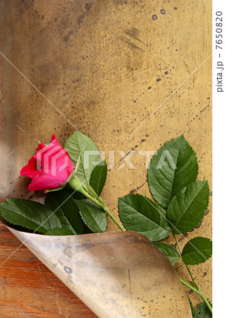 Flower Flower 7650820