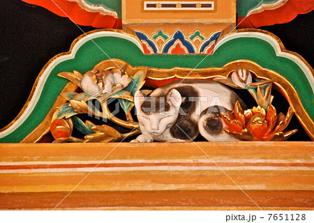 日光東照宮の 眠り猫 日光東照宮 東回廊 栃木県日光市山内 の写真素材