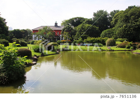 小石川植物園の夏 7651136