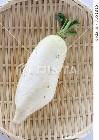 辛み大根 7651315