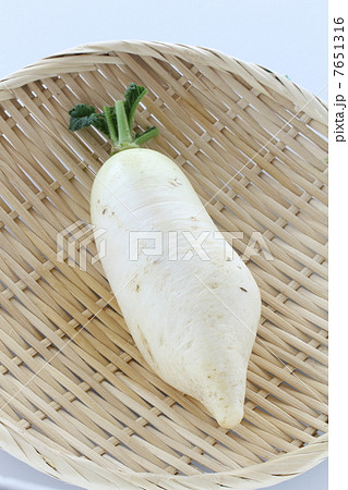 辛み大根 7651316