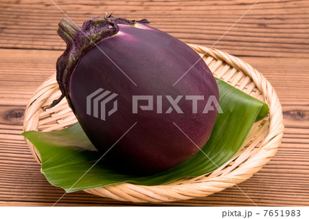 賀茂茄子 賀茂茄子 7651983