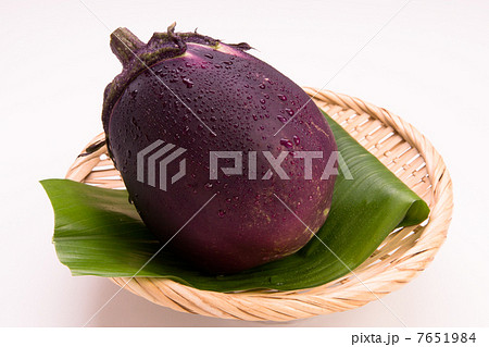 賀茂茄子 7651984