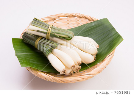 エシャレット エシャレット 7651985