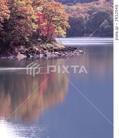 紅葉の琵琶池 7652049