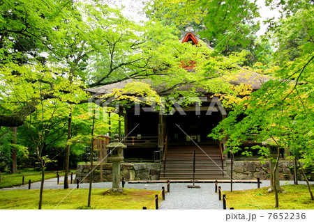 新緑の大原三千院 7652236