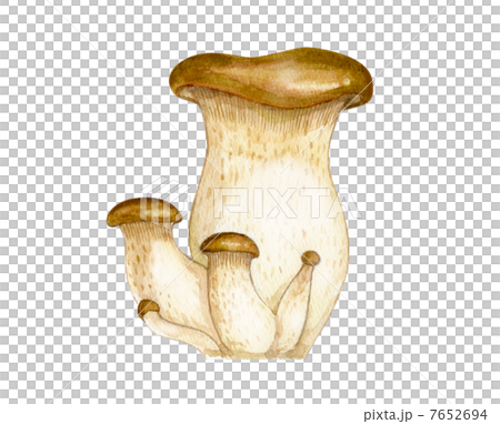king oyster mushroom 7652694
