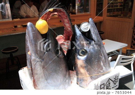 マグロの頭 7653044