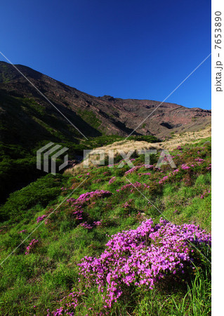 春の阿蘇仙酔峡 7653890