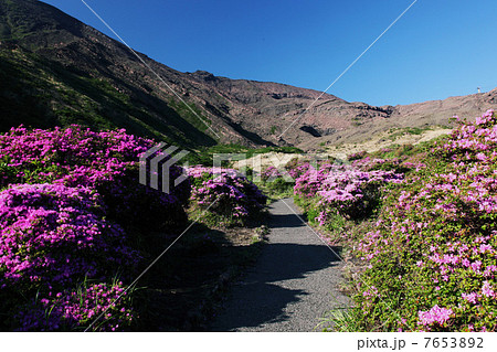 春の阿蘇仙酔峡 7653892