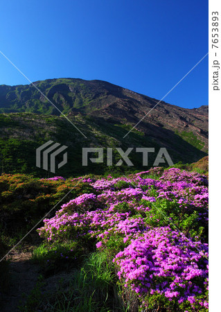 春の阿蘇仙酔峡 7653893