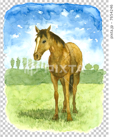 水彩画 牧場の馬のイラスト素材 [7654246] - PIXTA