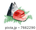まぐろイラスト　部位　大トロ　png 7662290