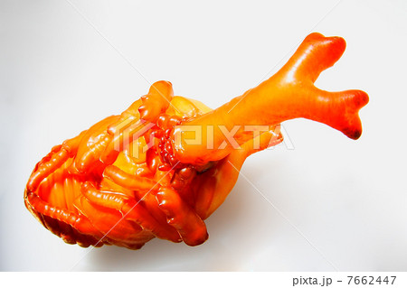 カブトムシ蛹 カブトムシ蛹 7662447