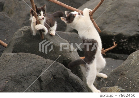 だいじょうぶかよ・・・ 7662450