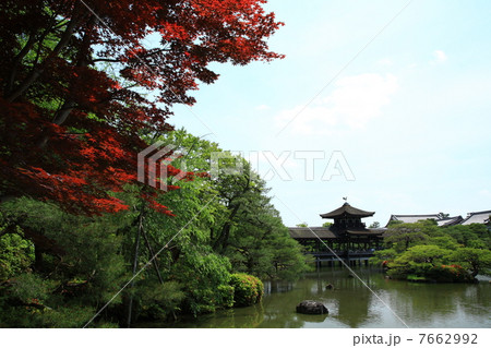 平安神宮 7662992