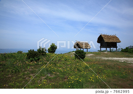 妻木晩田遺跡 7662995