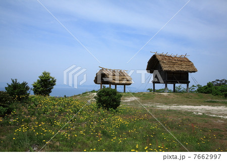 妻木晩田遺跡 7662997