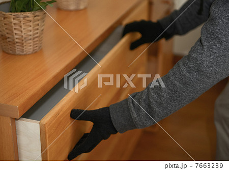 泥棒 7663239