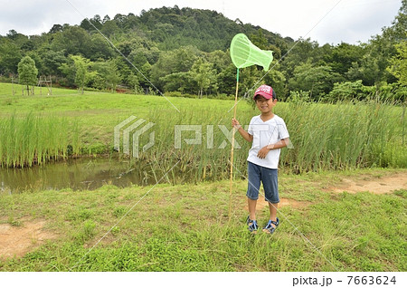 昆虫採集 7663624