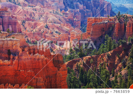 Bryce 7663859