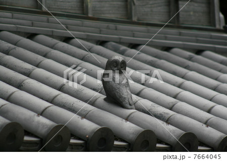 屋根にふくろう 屋根にふくろう 7664045