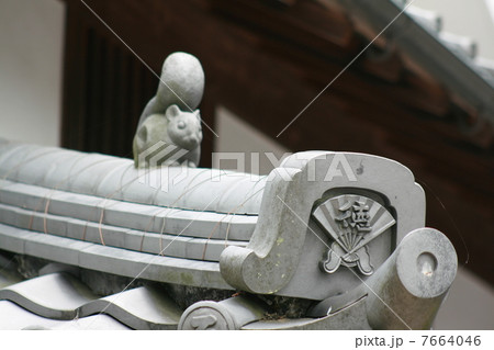 屋根にリス 屋根にリス 7664046