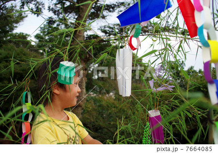 七夕の笹飾りと子供 7664085