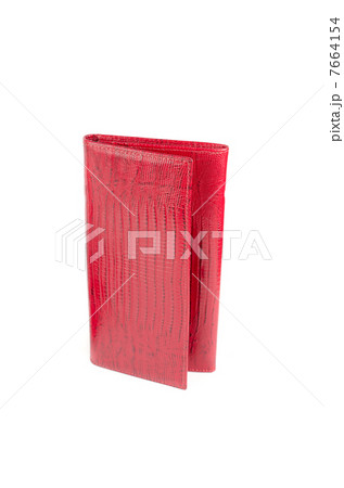 Modern female wallets 7664154