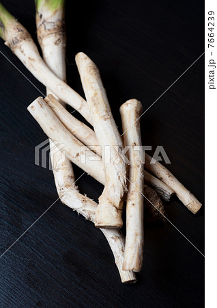 horseradish 7664239