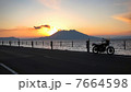桜島 7664598