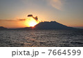 桜島 7664599