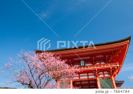 清水寺　仁王門（赤門） 7664784