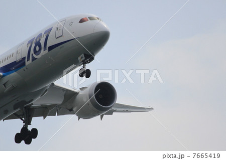 B787-8 7665419