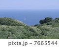 丘からの眺め 7665544
