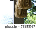 しめ縄 7665547