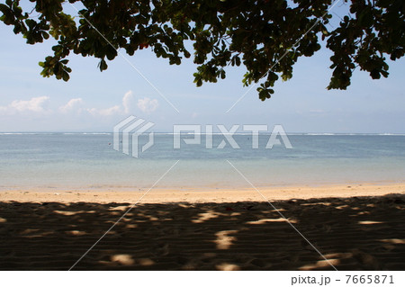 サヌールの海 7665871