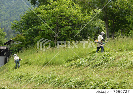 草刈　南魚沼市 7666727