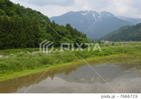 八海山　新潟県 7666729